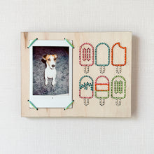  An instant photo of a dog is framed by embroidered popsicles.